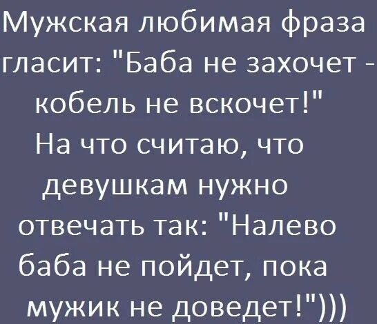 Фразы сучек. Любимые фразы. Цитаты про мужчин кобелей. Любимая фраза. Цитаты про мужиков кобелей.