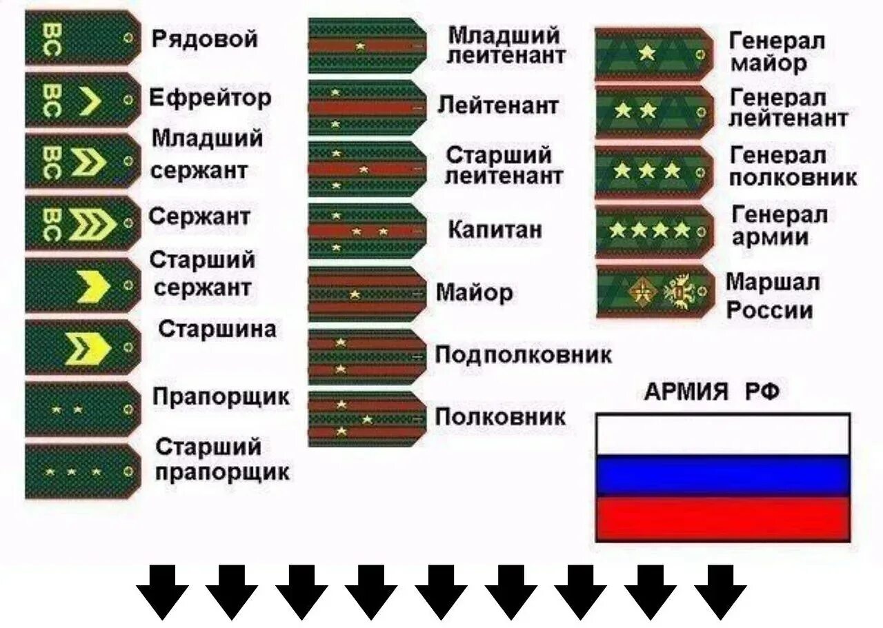 Воинские звания по возрастанию в армии России и погоны сухопутных. Российские военные звания по порядку и погоны. Звания в Российской армии по возрастанию погоны. Армейские звания по порядку и погоны Российской армии.