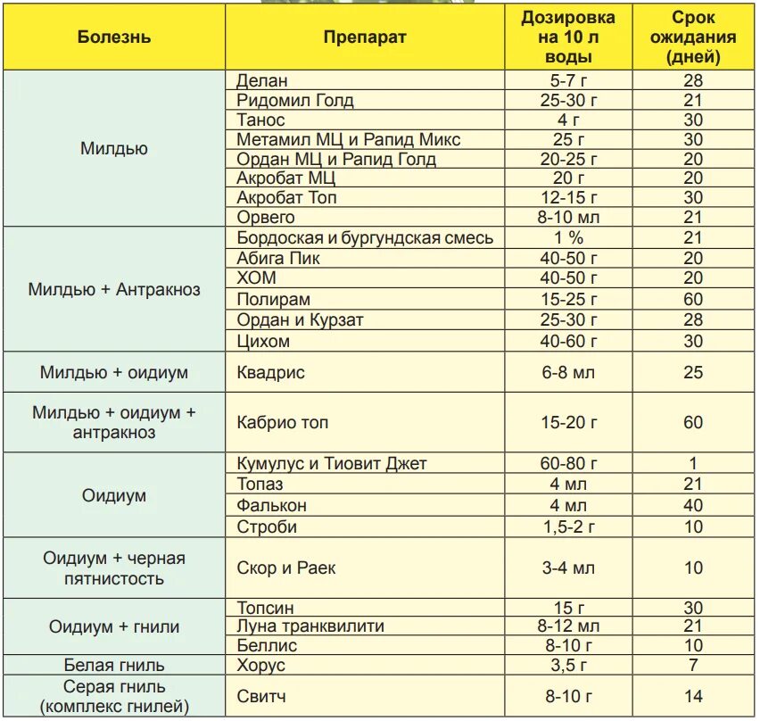 Список инсектицидов для сада. Сроки ожидания препаратов для обработки винограда. Схема обработки винограда в таблице. Таблица обработки винограда от болезней. Таблица фунгицидов для обработки винограда от заболеваний.