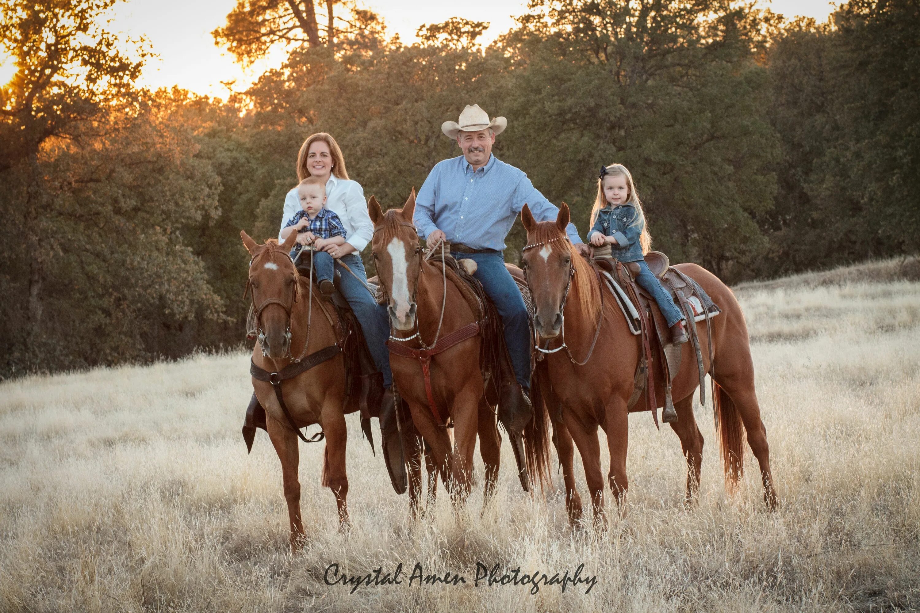 Horse family. Прогулка на лошадях. Семейный фотосет с лошадью. Семейная прогулка на лошадях. Семья коней.