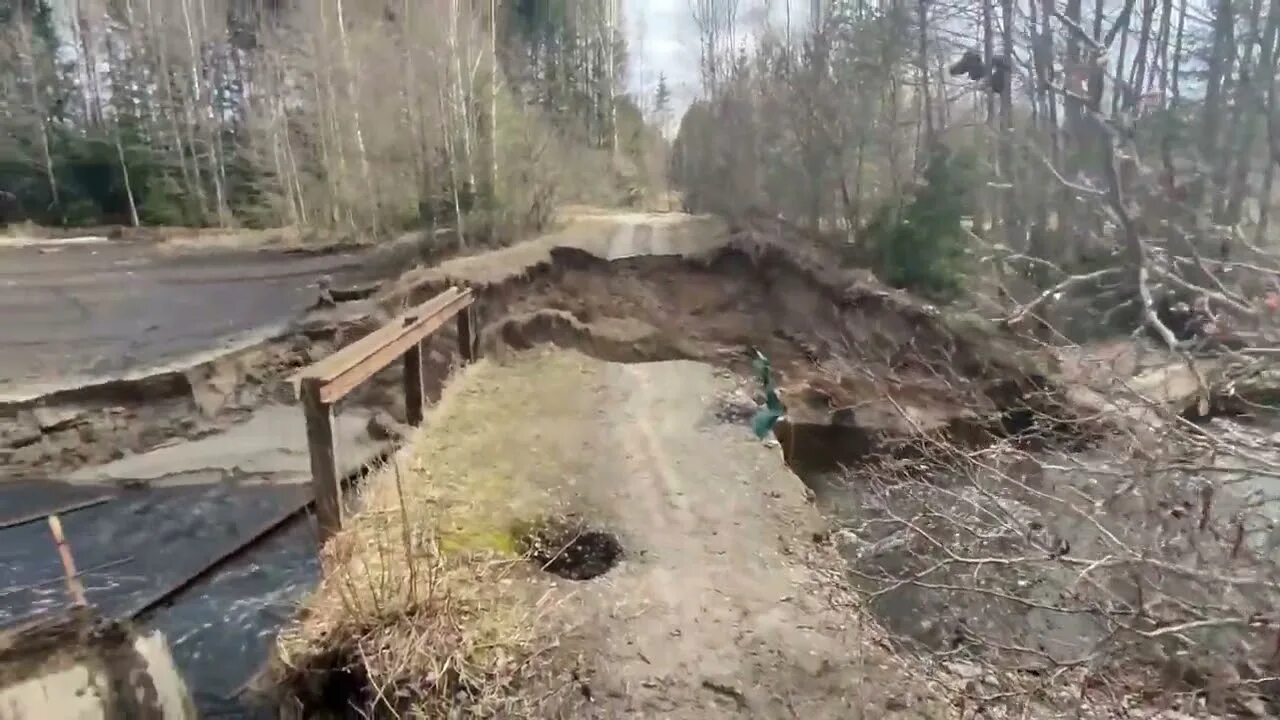 Гибнущее озеро. Разрушился гидроузел. Тельвяково озеро. Радица озеро. Запруда на Лесном ручье.