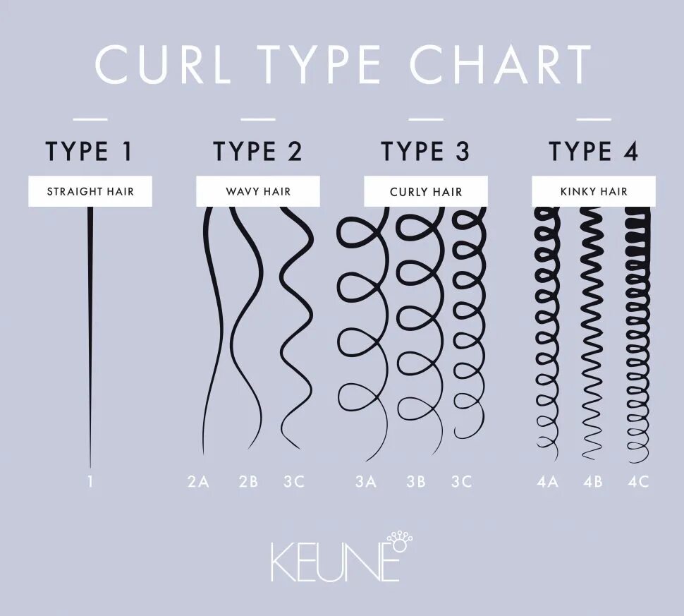 Curl 4