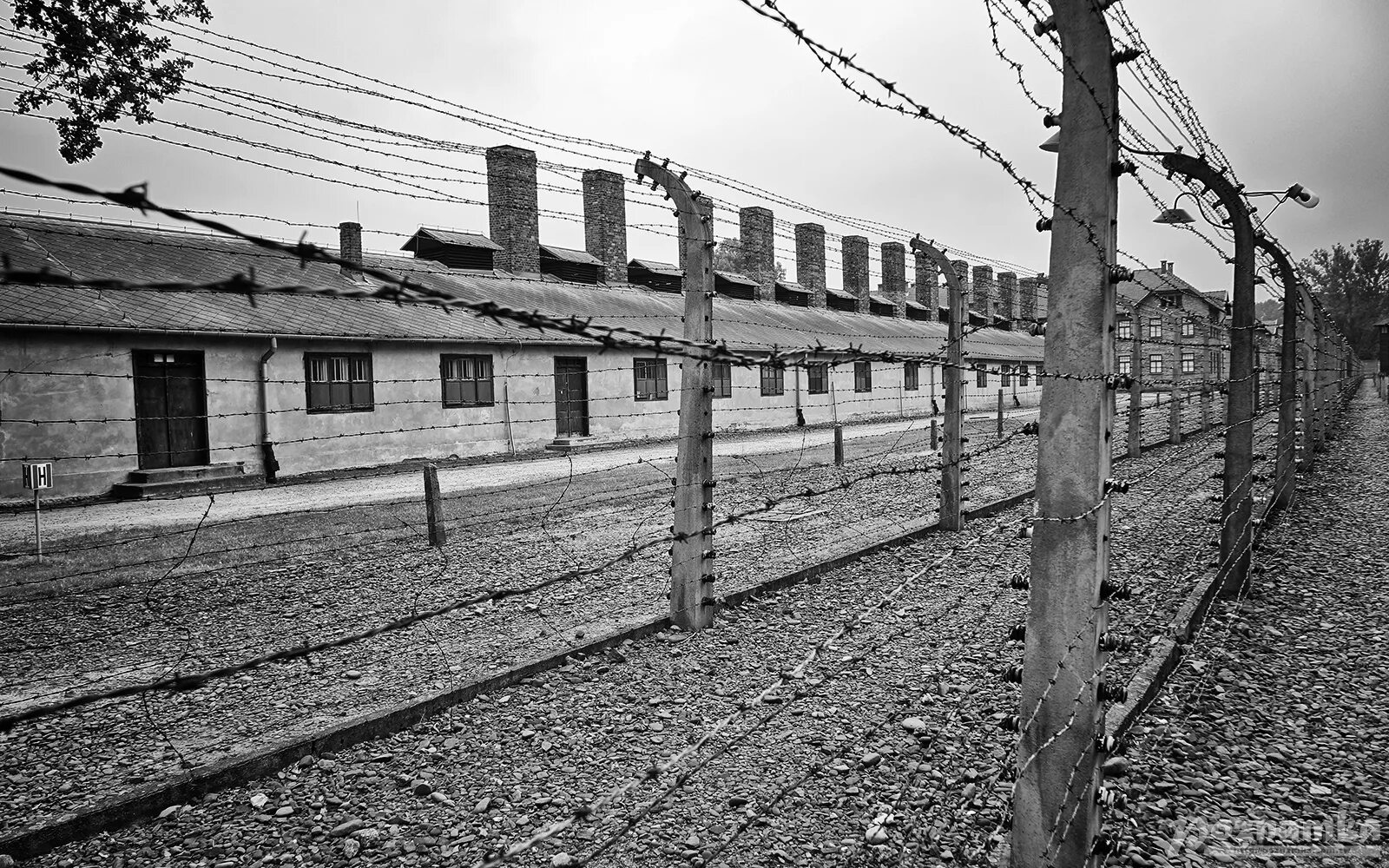 Концентрационный лагерь Освенцима. Лагерь Аушвиц колючая проволока. Концентрационный лагерь Освенцим узники. Бухенвальд лагеря Аушвиц. Concentration camp
