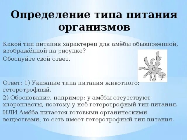 Тип симметрии животного впр. Какой Тип питания характерен для амебы. Тип питания амебы обыкновенной. Какой Тип питания характерен. Какой Тип питания характерен для амёбы обыкновенной.