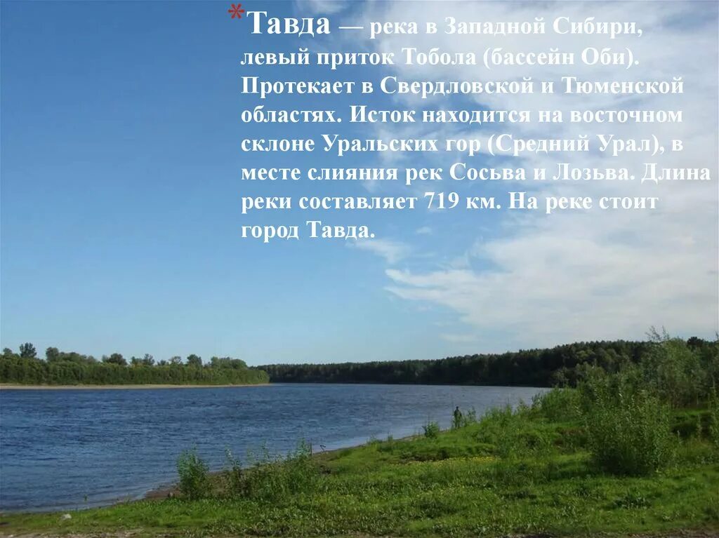 Какие водные объекты находятся в свердловской области. Река Тавда Свердловская область. Исток реки Тавда Свердловской области. Река Тавда Тюменская область. Исток реки Тавда.