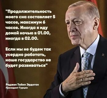 Никотин дзен последнее