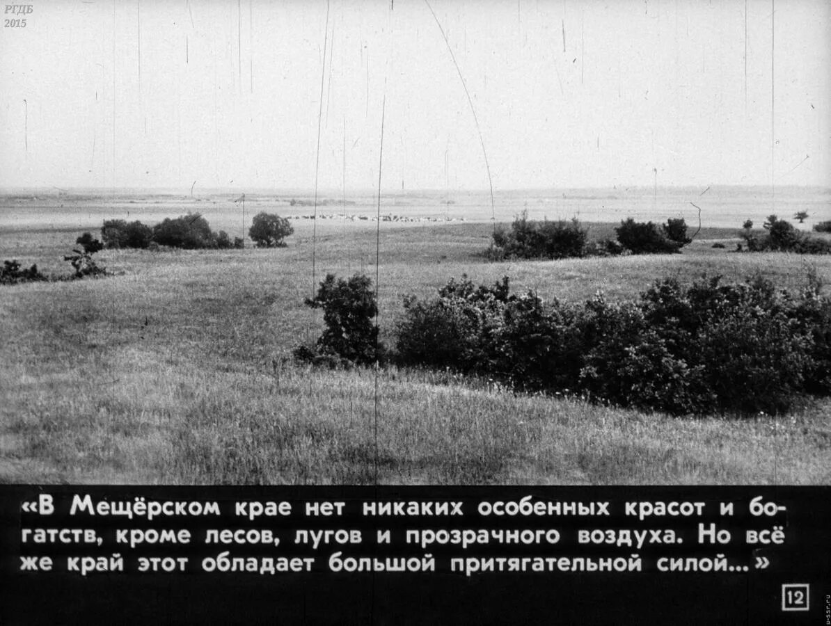В мещерском крае нет особенных красот