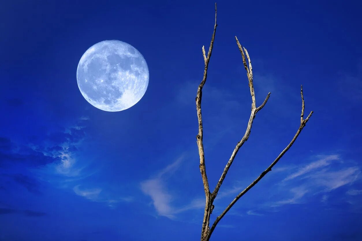 Восходящая луна в марте. Голубая Луна астрономическое явление 2020. Голубая Луна явление природы. Синяя Луна природное явление. Удивительные явления природы - синяя Луна.