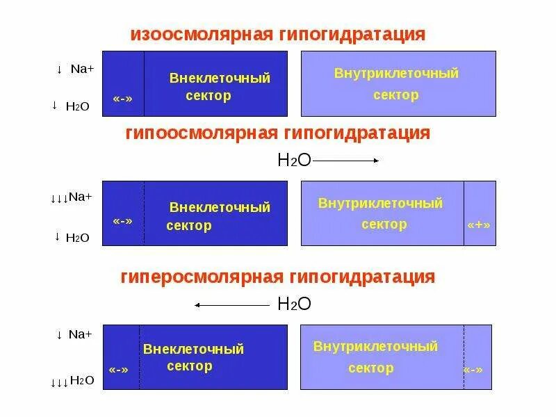 Гипогидратация это. Причины изоосмолярной дегидратации. Механизмы развития гиперосмолярной гипогидратации. Механизм развития гипоосмолярной гипогидратации. Изоосмолярная гипергидратация механизм развития.