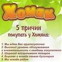 Хомяк оф сайт