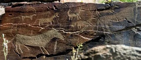 Беларусь Республикасы, Октябрьскийдің жезөкшелері