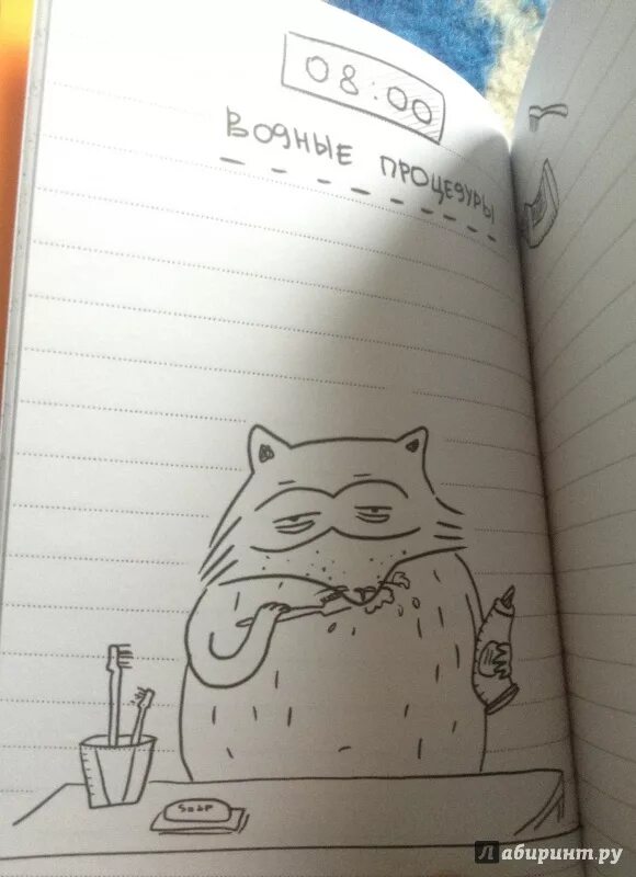 Кот рецензии. Блокнот с котиком. ежедневник дерзкого енота. дерзкий енот с блокнотом. рисунки для блокнота.