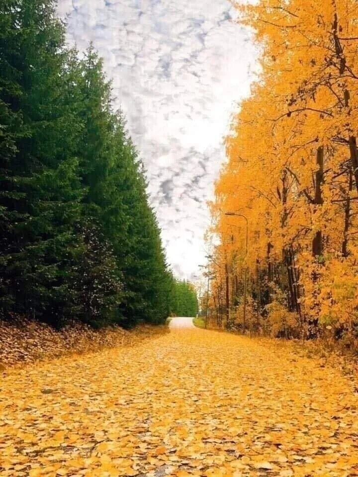 Осенние встречи