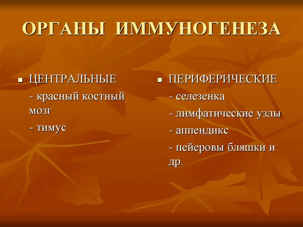 Строение иммунной системы первичные и вторичные органы. Органы иммуногенеза. Миелоидное и лимфоидное кроветворение. Органы иммуногенеза анатомия. Периферические лимфоидные органы.