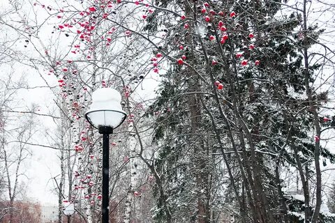 Новосибирск январь