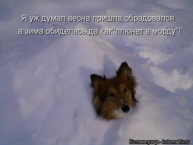 Зима не обижайся