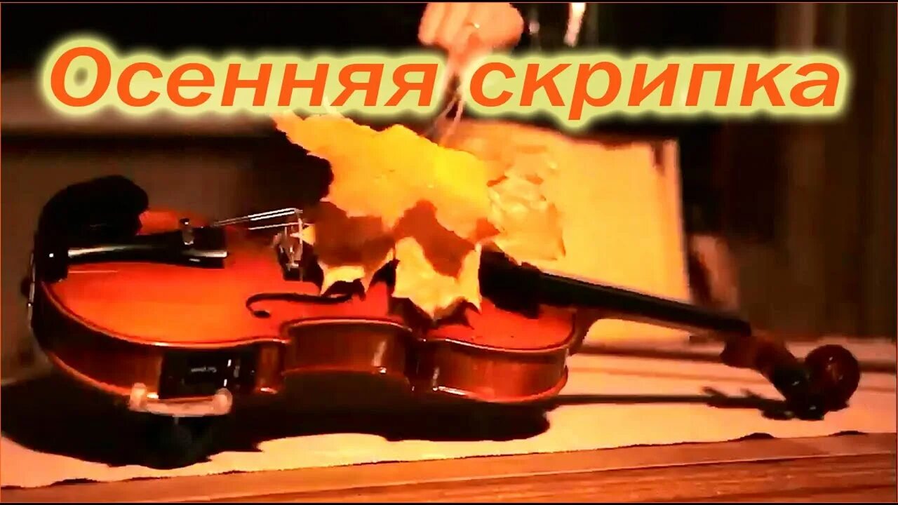 Осенняя скрипка. Последняя осень скрипка. Расцветающая осень скрипка. Сургучев осенние скрипки. Скрипка осенью