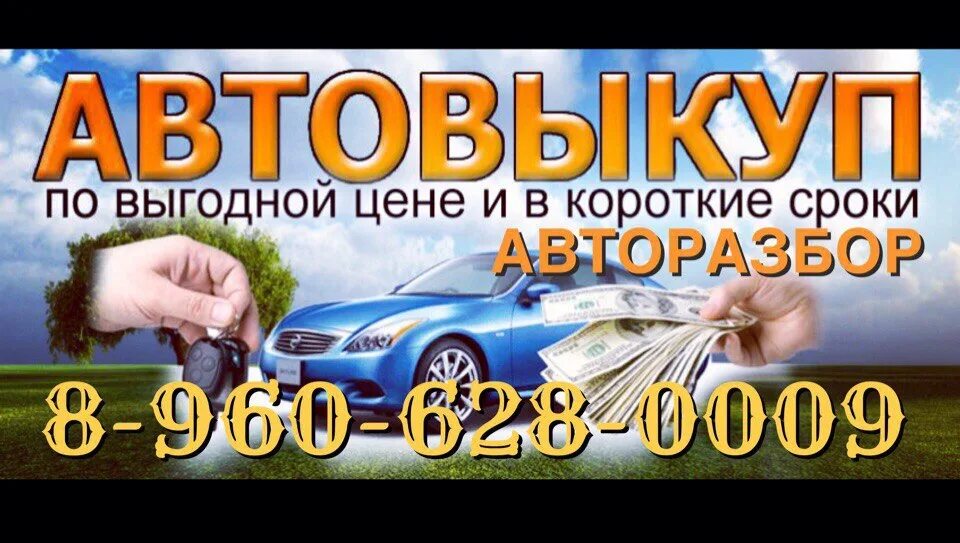 Автовыкуп отзывы. Автовыкуп авто. Визитка автовыкуп. Автовыкуп Авторазбор. Выкуп авто визитка.