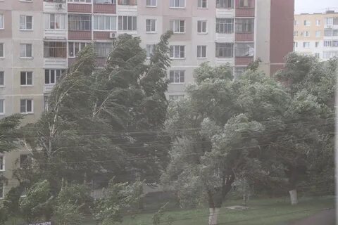 Порывистый это какой