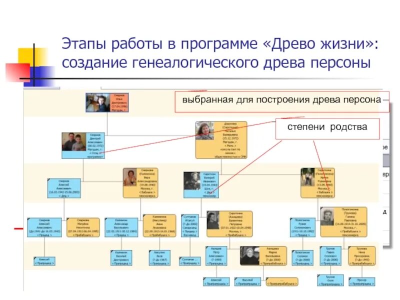 Программа дерево. Древо жизни программа генеалогическое древо. древо жизни программа для построения генеалогических. программа древо жизни (family tree). программа для составления дерева родословной.