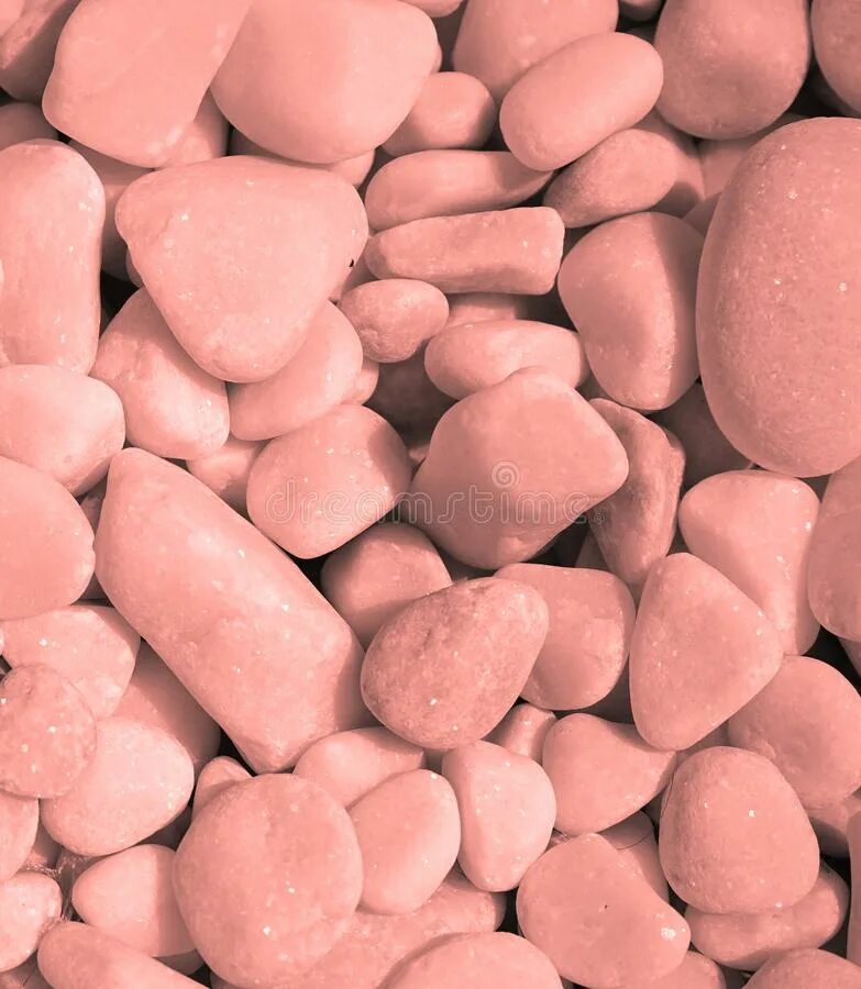 Pink stones. Корал белый и розовый камень. Фон розовый камешки. Речной камень розовый с белой полосой. Включи картинки розовые камушки.