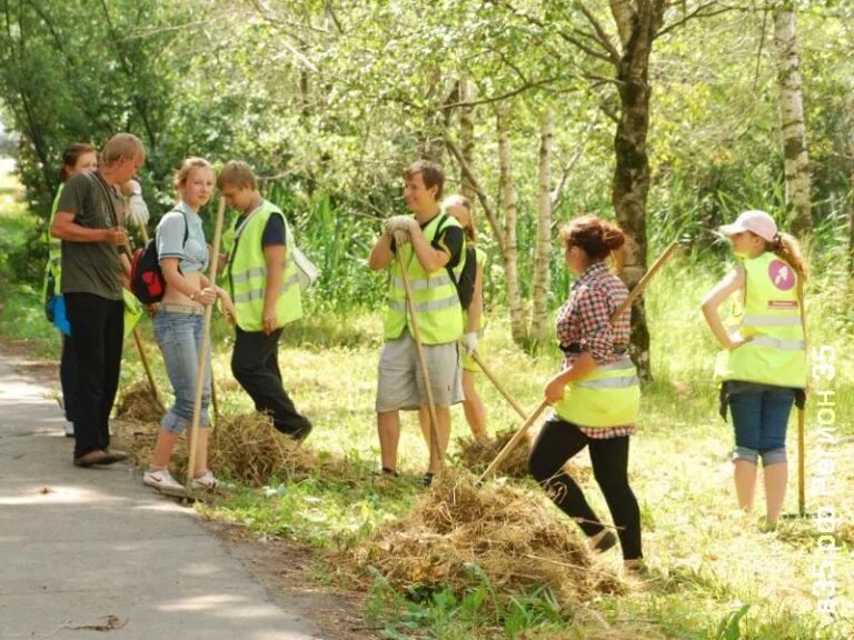 трудоустройство подростков. подростки на работе. подростковый труд. подростковый труд. подростковый труд.