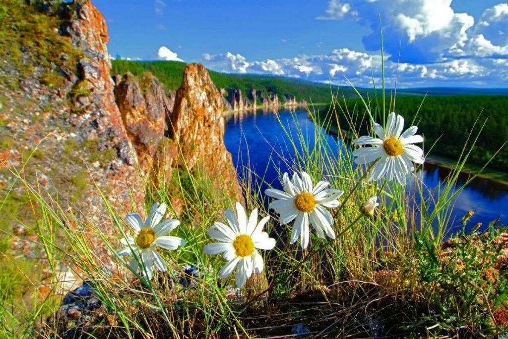 Природа России. Красота природы. Природа летом. Красивое лето.