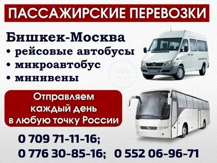 Бишкек москва самый дешевый