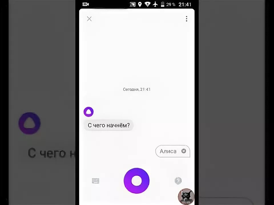 Алиса скажи том. Алиса алиса скажи 300. алиса скажи 300 прикол. скажи алиса скажи алисе.