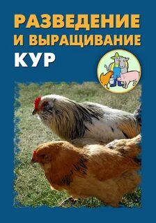 Куры книги