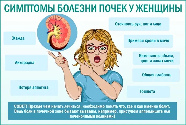 Застудила почки чем лечить у женщин. Почки симптомы болезни у женщин. признаки болезни почек. симптомы заболевания почек. болят почки симптомы.