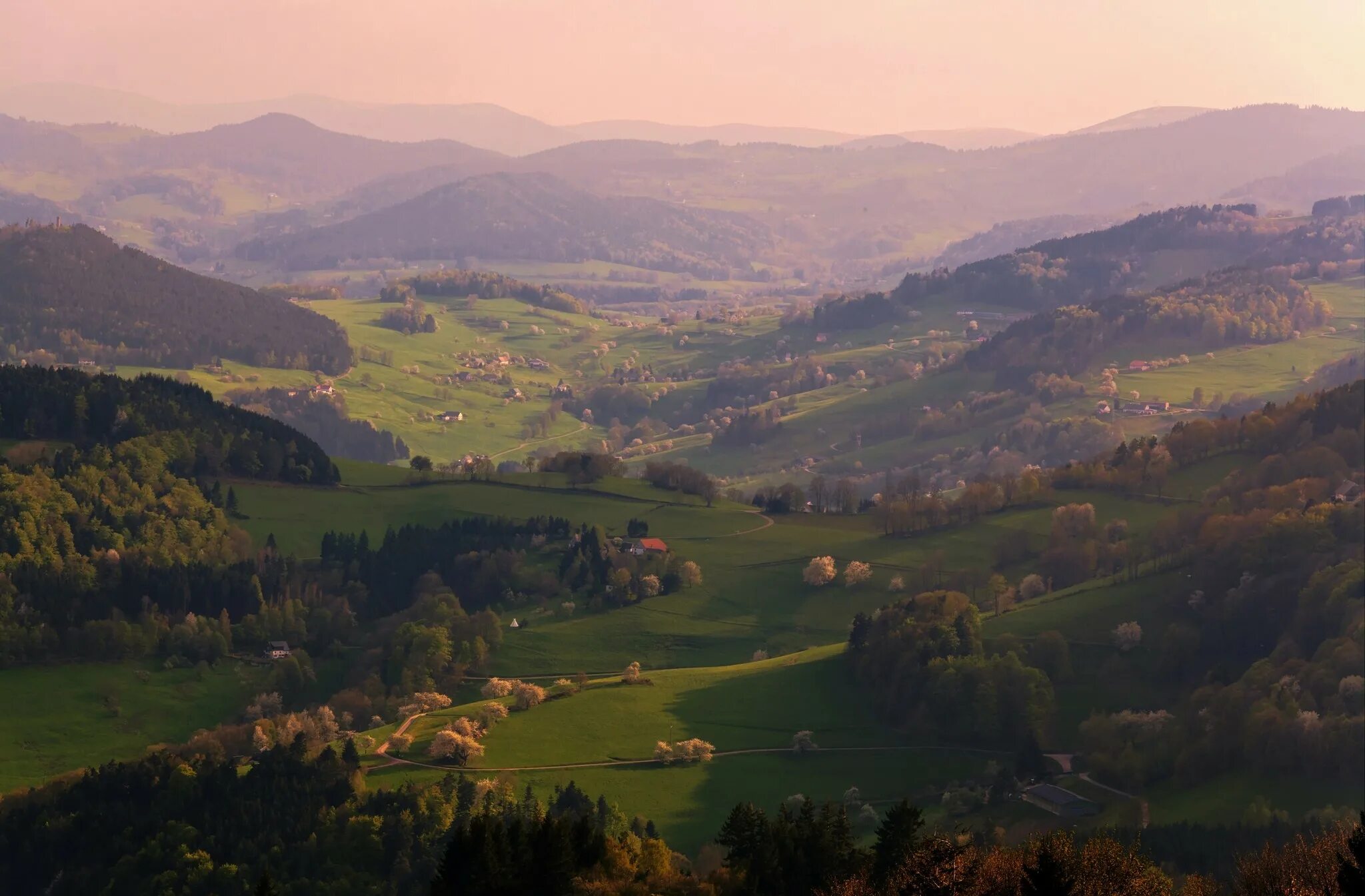 Spring valley лесная деревня