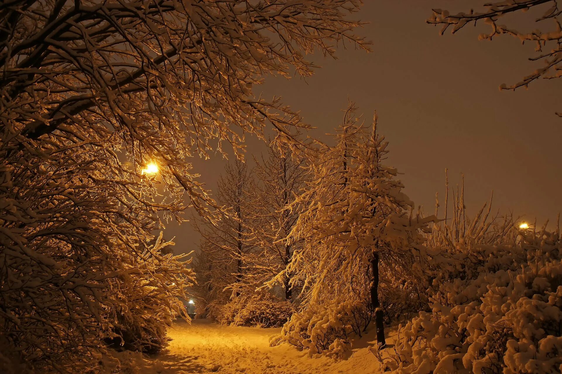 Зима ночь. Зима. К вечеру. Зимний ночной пейзаж. Зимний снежный вечер.