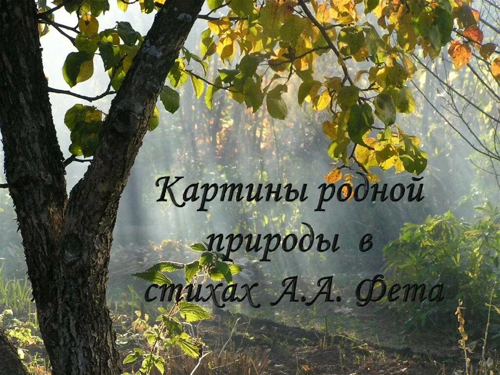 Стихи Фета о природе. Природа в поэзии. Стихотворение о родной природе. Природа в лирике Фета. Родная природа фета