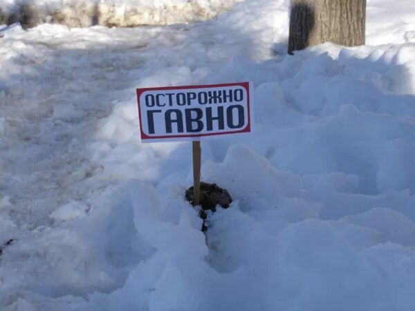 Табличка в снегу. Осторожно сугроб. Срать насрать