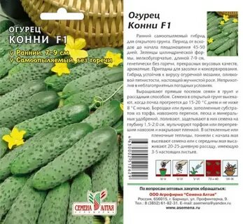 Огурец сорт конни