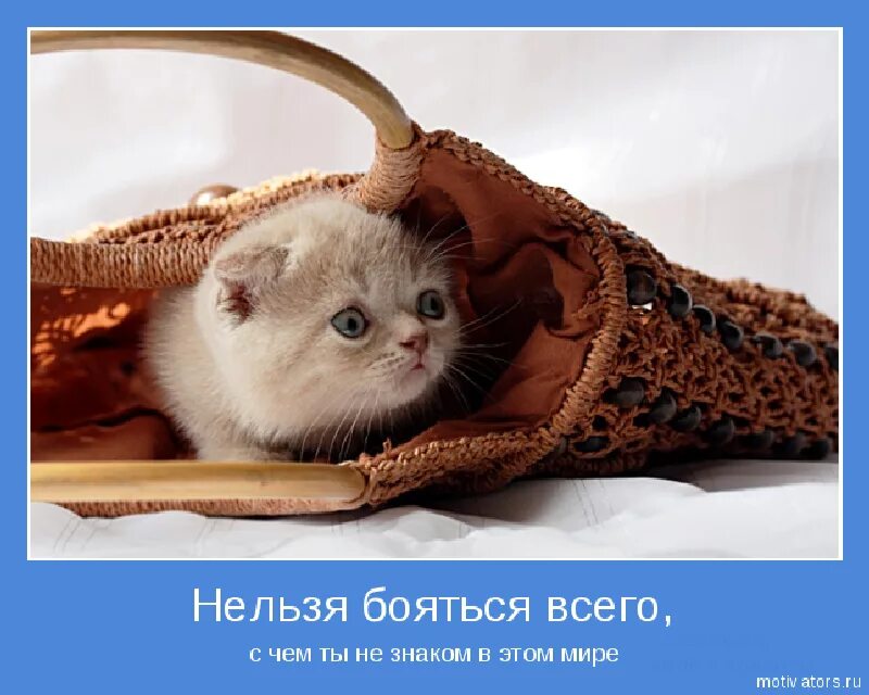 Позитивные мотиваторы для женщин. Интересные мотиваторы. Мотиваторы. Картинки мотиваторы позитивные. Прикольные мотиваторы в картинках.
