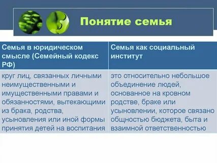 Семья термин юридический
