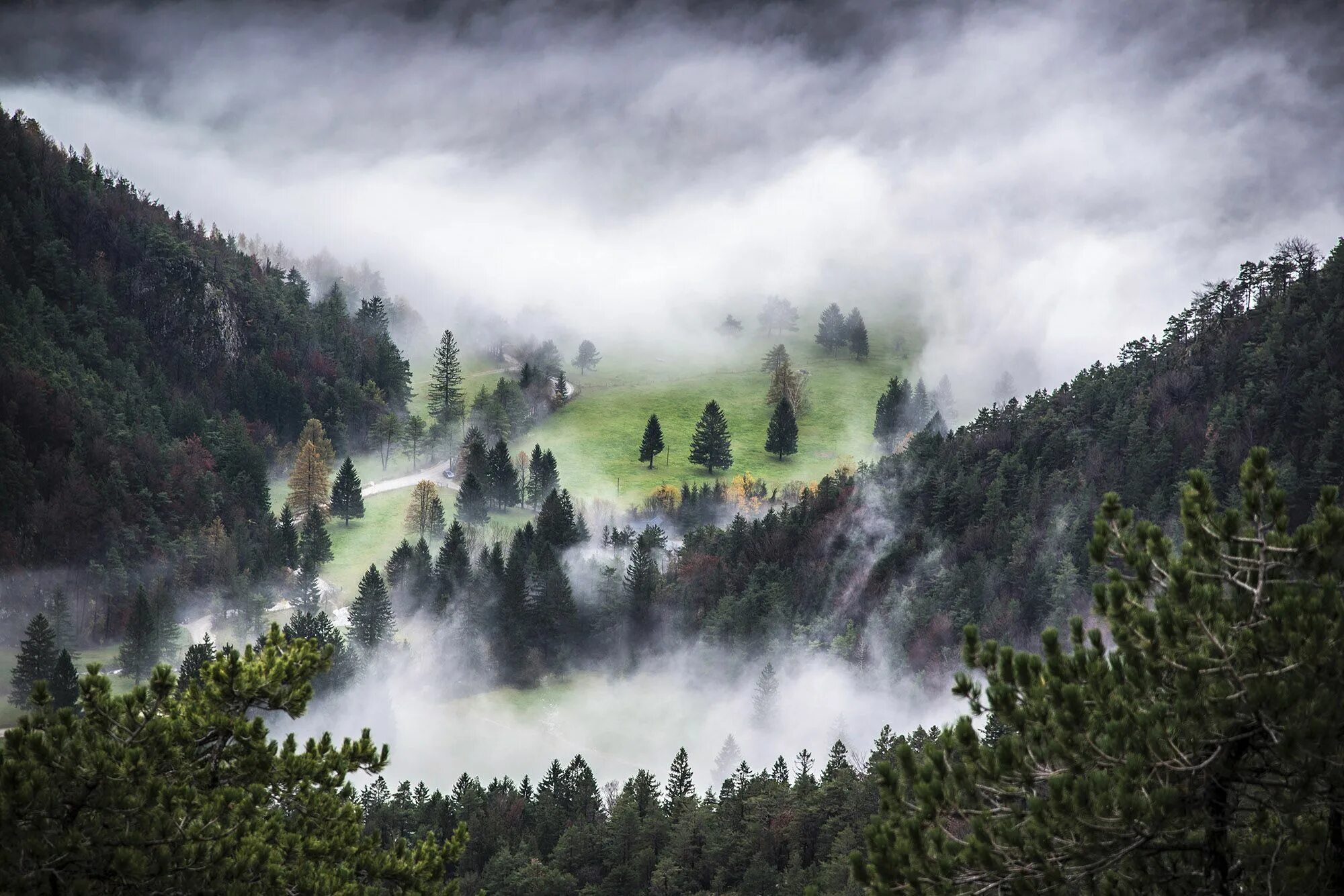 Dead gods shinigami tenshi. Фуджико накая скульптура. Футболка shinigami tenshi. Красивые места с туманом. In the fog красноярск.