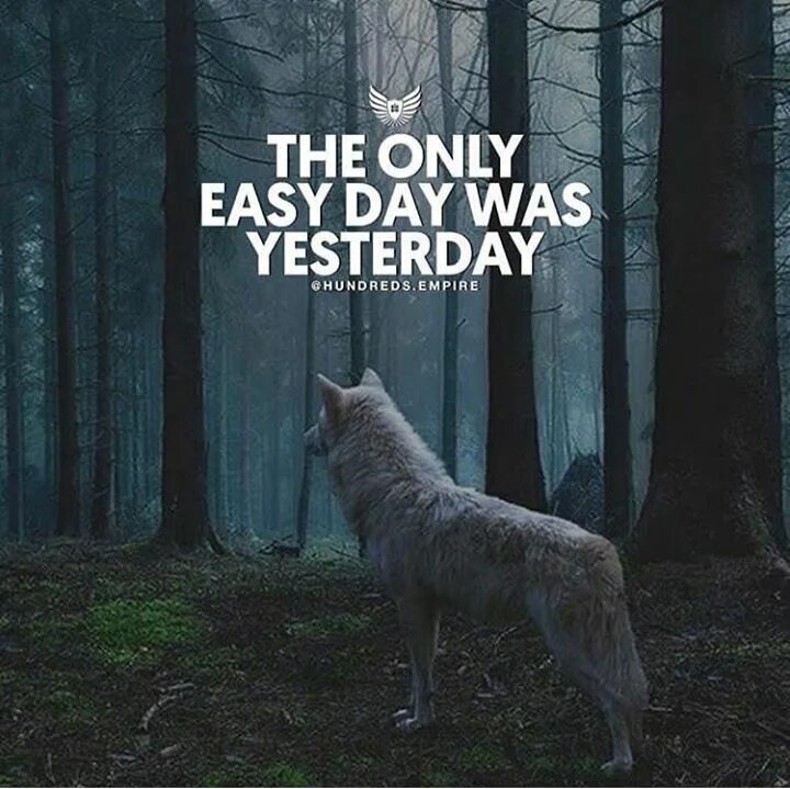 Easy only. The only easy day was yesterday. the easiest day was yesterday. the only easy day was yesterday книга. only easy day was yesterday wallpaper.