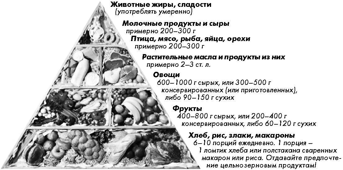 Сколько углеводов содержится в мясе. Белки жиры углеводы в продуктах. Белок жиры углеводы список продуктов. Белки жиры и углеводы в продуктах раскраска для. Белковая еда и углеводная еда.