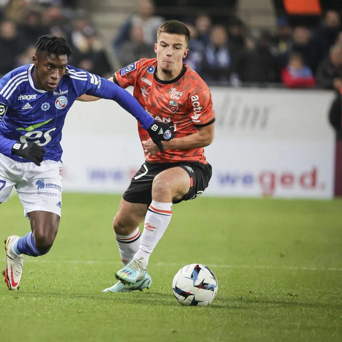 Страсбург лорьян прогноз. Страсбур лорьян прогноз. Страсбур лорьян прогноз. Страсбург лорьян прогноз. Страсбур лорьян прогноз.