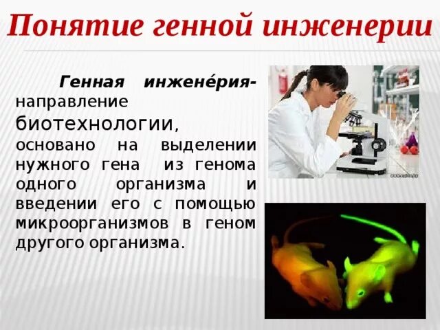 Инженерия живых систем. Понятие о генной инженерии. биотехнология генетическая инженерия. генная инженерия в биотехнологии. генный инженер.