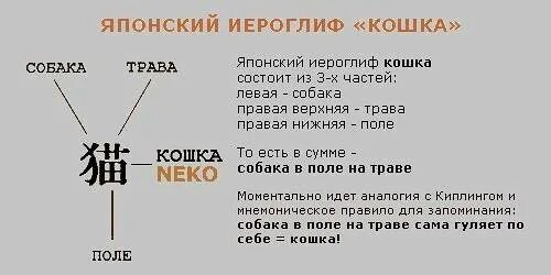 Как будет по китайски кошка. Японский иероглиф кошка. Китайский иероглиф кот. Иероглифы японские имена. Китайские и японские имена.