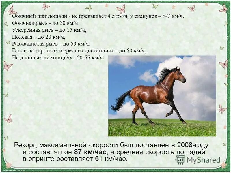 Скорость лошади км/ч максимальная. Лошади средняя скорость средняя. Рекорд скорости лошади км/ч. Средняя скорость лошади км/ч.
