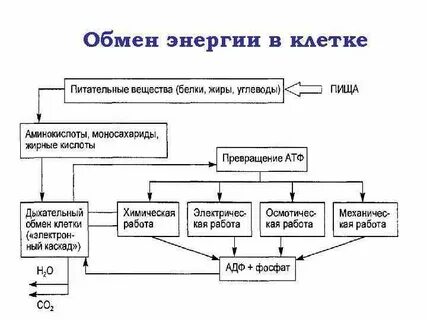 Схема вещества и энергии