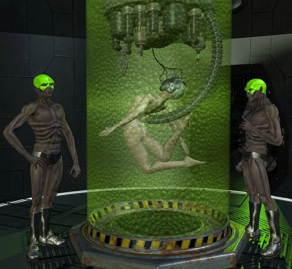 Experiments body