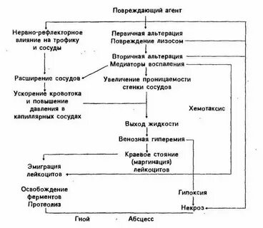 Острый и хронический процесс