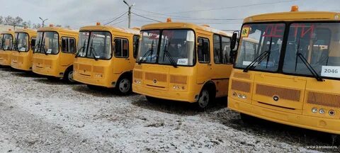 Парк школьных автобусов