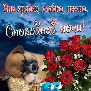 Спокойной ночи хорошей девушке